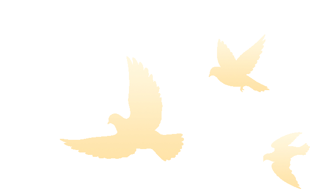 永鑫国际(中国游)有限公司官网